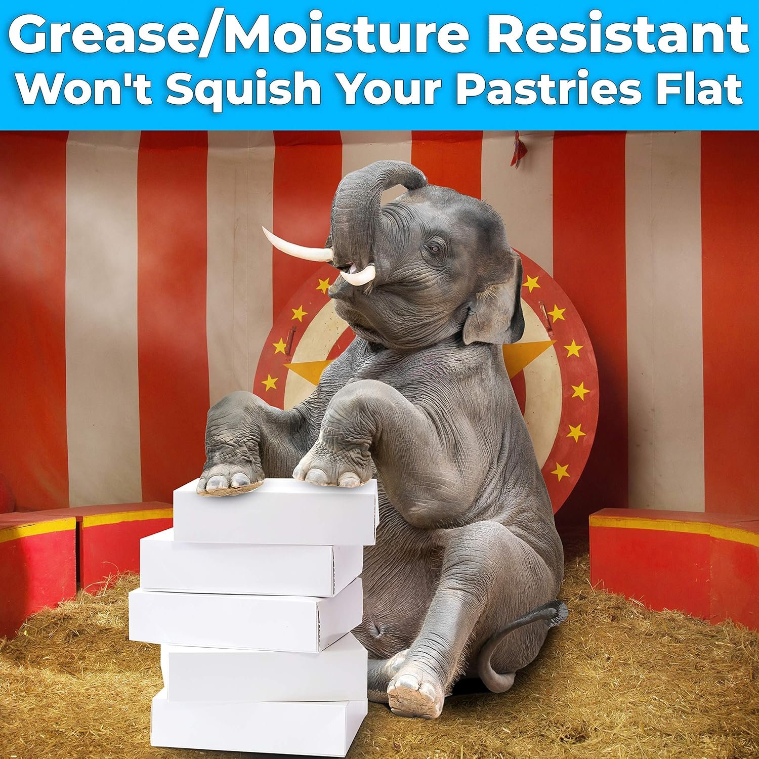 Großhandel 10 Zoll weiße Bäckereibox mit Fenster zur Präsentation von Torten, Cupcakes und Gebäck, individuell anpassbar mit eigenem Logo, gefertigt von zuverlässigen Herstellern, ideal für den Transport und als süßes Geschenk in Schulen oder am Arbeitsplatz. Großhandel 10 Zoll weiße Bäckereibox mit Fenster zur Präsentation von Torten, Cupcakes und Gebäck, individuell anpassbar mit eigenem Logo, gefertigt von zuverlässigen Herstellern, ideal für den Transport und als süßes Geschenk in Schulen oder am Arbeitsplatz.