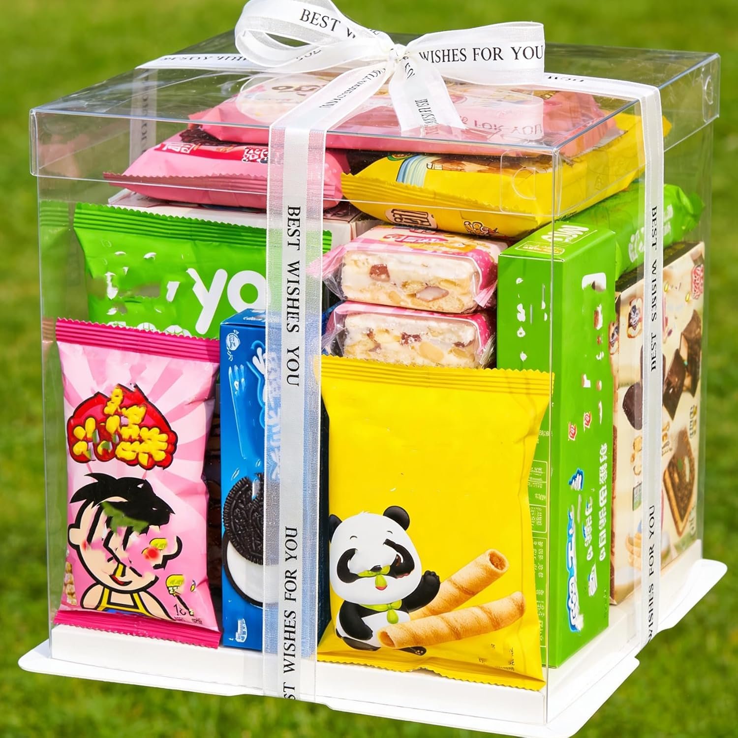 Großhandel 6er Pack transparente Tortenschachteln, 10