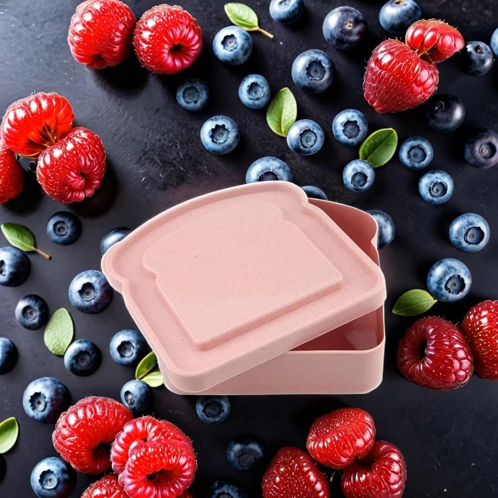 Großhandel 10 Stück Sandwichbehälter 14 OZ, wiederverwendbare Lebensmittel-Sandwich-Box mit Deckel für die Familie, Mikrowellen- und Geschirrspüler geeignet, Hersteller für individuelle Logos und Eigenmarken