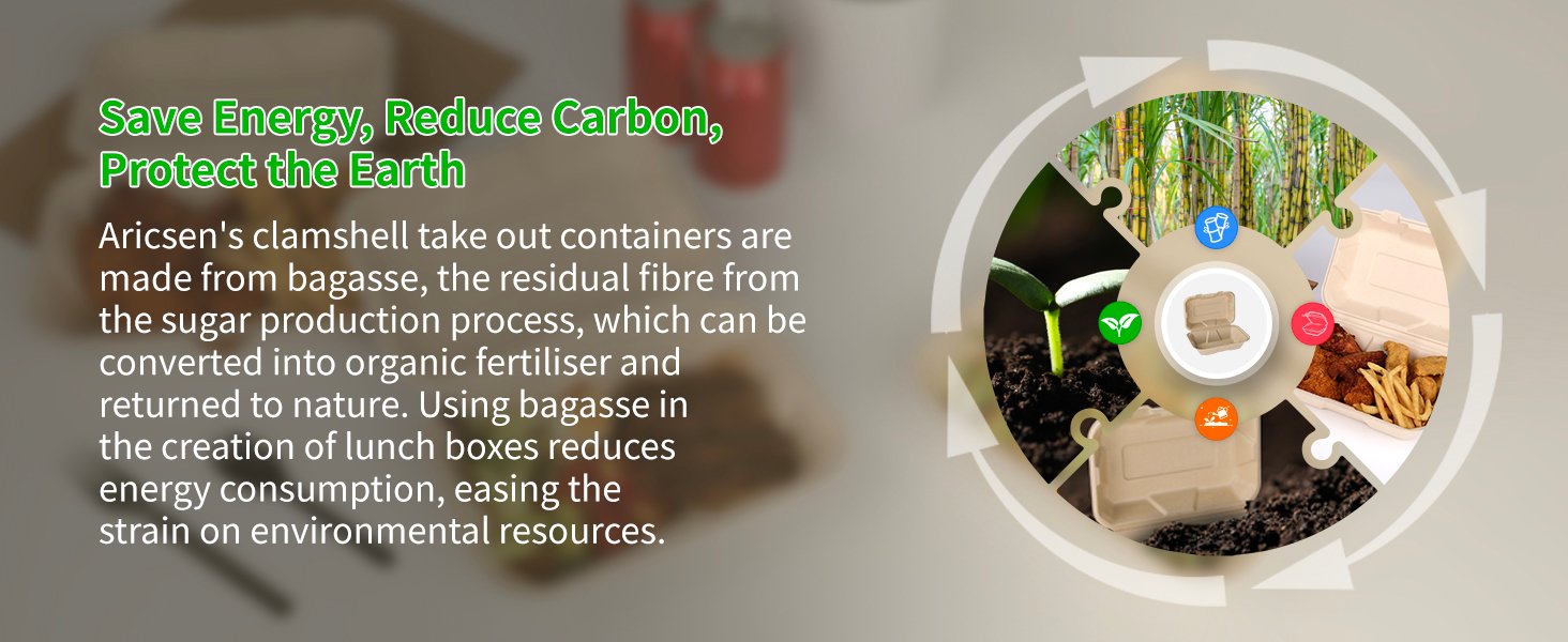 Großhandel 100 Stück kompostierbare 9x6 Zoll Takeout-Lunchboxen mit Deckel, Klappcontainer für Speisen, PFAS-frei, biologisch abbaubar aus Bagasse, individuell bedruckbar, vom Hersteller.