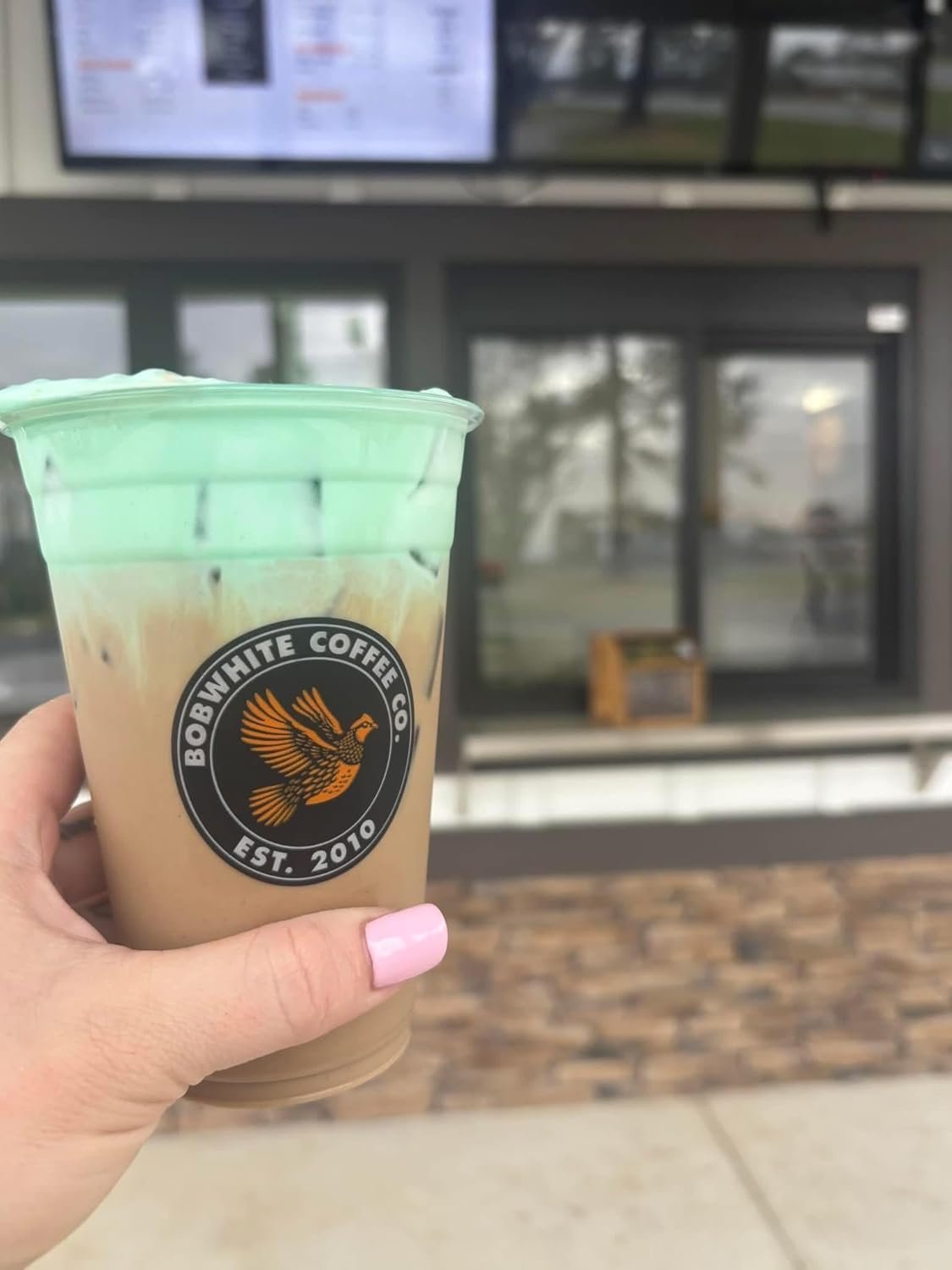 Individuelles Logo für 16 oz benutzerdefinierte PET Kunststoffkalte Getränke-Becher (100-1.000 Menge) von unserem Hersteller