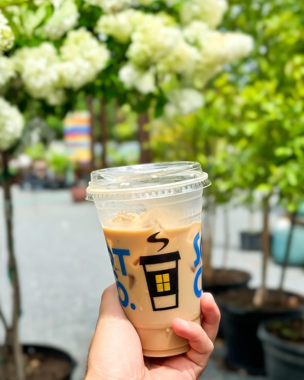 Individuelles Logo für 16 oz benutzerdefinierte PET Kunststoffkalte Getränke-Becher (100-1.000 Menge) von unserem Hersteller