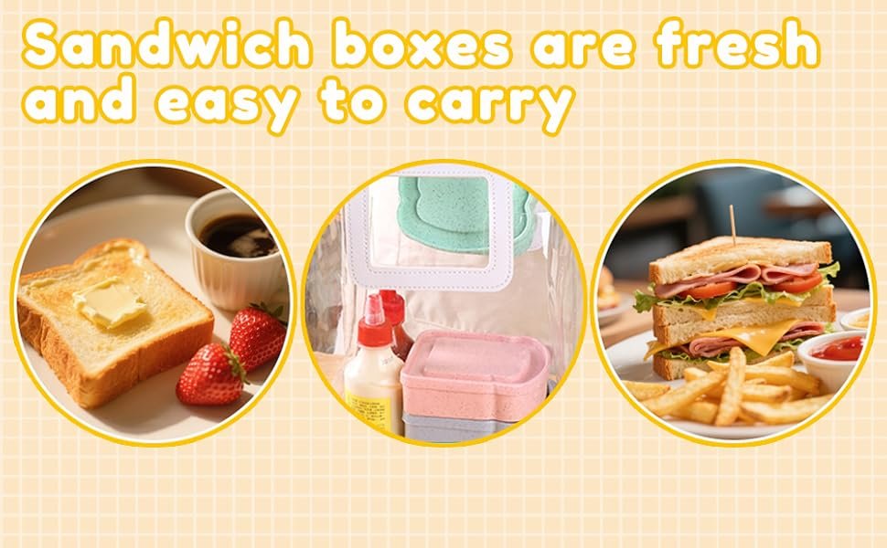 Großhandel 4 Toastform Sandwichboxen 14Oz wiederverwendbare Brotdosen für Erwachsene mit individuellem Logo, Hersteller für Mikrowellenheizung und Gefrieraufbewahrung.