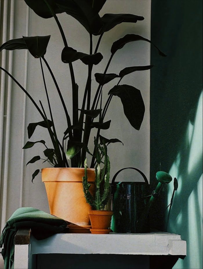 Meet Me In The Morning Hamburg: Ehrliche Erfahrungen aus der Café-Szene