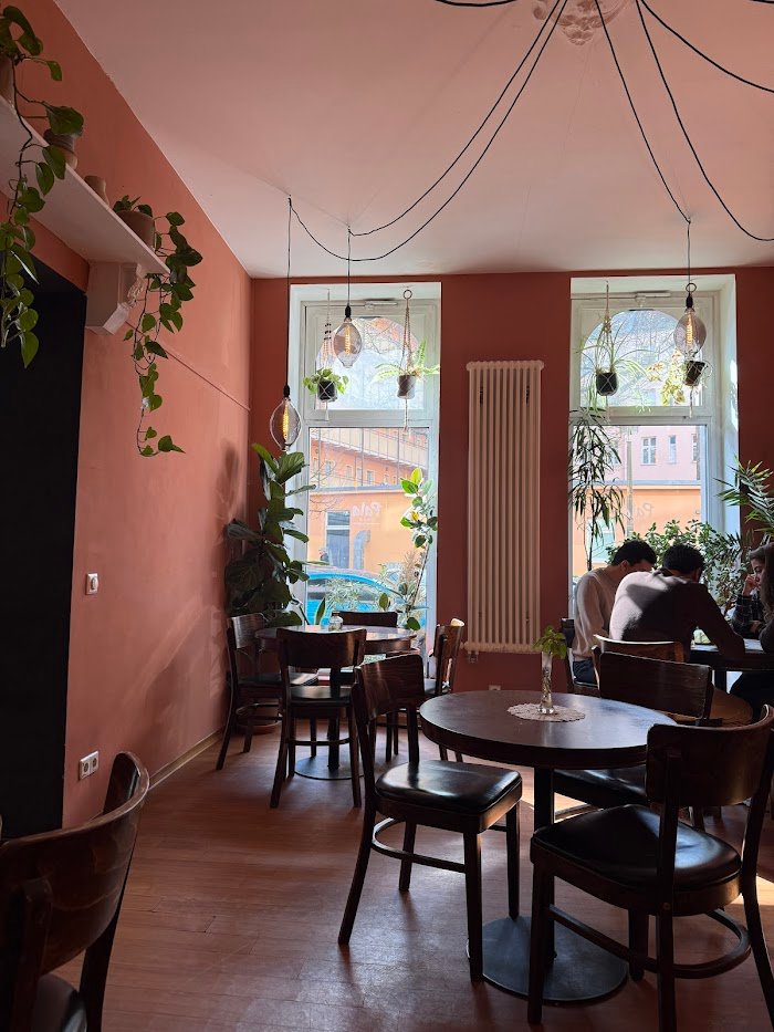 Lohnt sich Pala Berlin - Greek Cafe in Berlin, Deutschland? Ehrliche Erfahrungen enthüllt